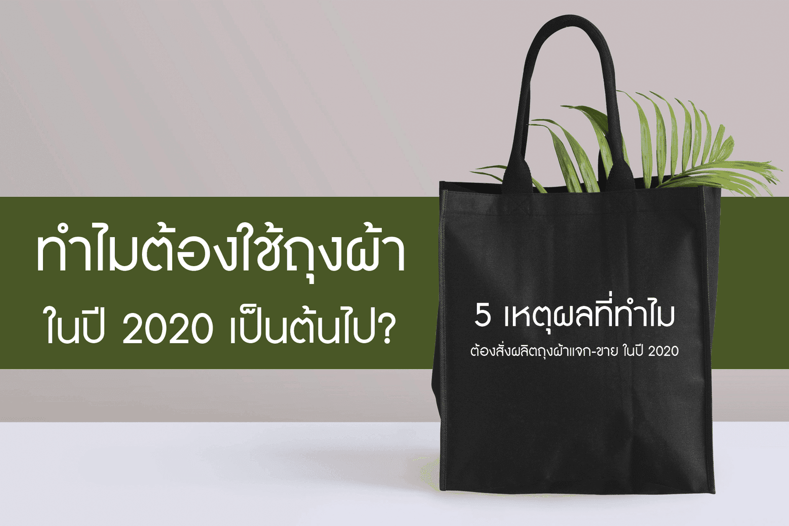 ทำไมต้องใช้ถุงผ้า ในปี 2020!?