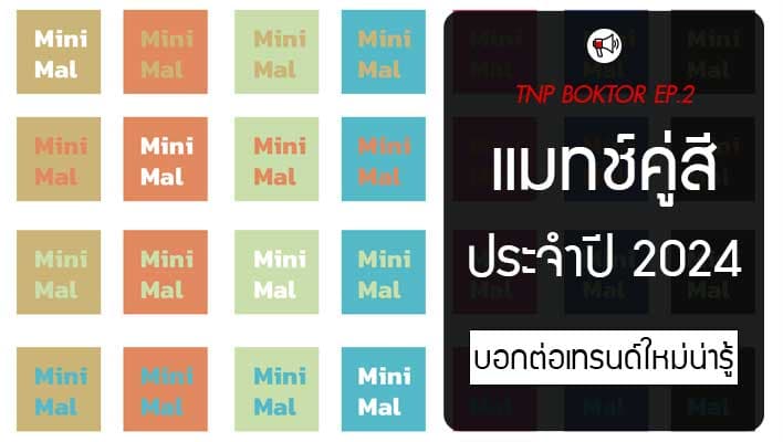 แมทช์คู่สี ประจำปี 2024 คู่สีไหนที่เข้ากับสีประจำปีบ้าง