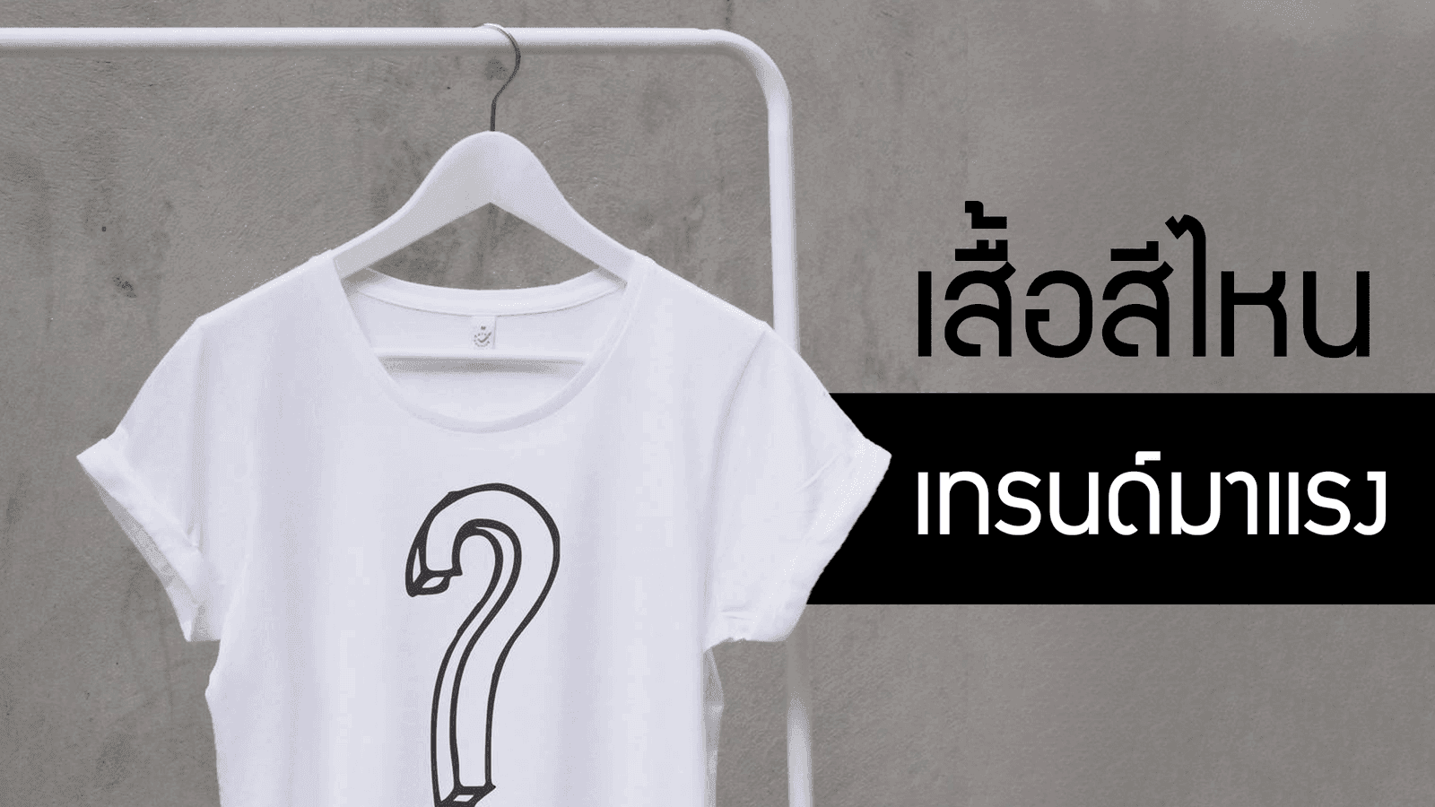 เสื้อสีไหน เป็นเทรนด์ฮิตในปีนี้